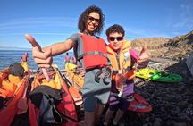 Kayaking in Palm Mar with Dolphin and Turtle Watching
