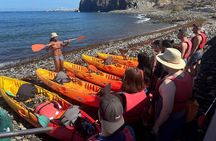 Kayaking in Palm Mar with Dolphin and Turtle Watching