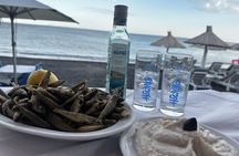 Santorini Private Beach & Swimming Tour – Volcanic Coastline