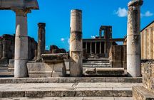 Pompeii,Herculaneum, Vesuvius Wine Tasting and Lunch from Salerno