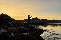 Guided Fishing Adventure in Lofoten Catch and Cook your Fish