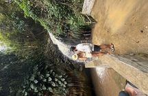 Half Day Private Tour of The Spice Isle