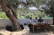 Family Olive Grove Olive Oil Tasting Experience in Messinia