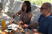 Family Olive Grove Olive Oil Tasting Experience in Messinia
