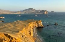 Paracas Tour: Ballestas Islands and Sunset Hike