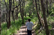 Trekking in National Reserve near Coyhaique