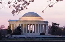 DC Cherry Blossoms Insiders Tour