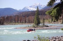 Athabasca Expressway Whitewater Rafting 