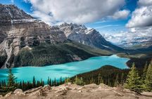Along Icefields Parkway: Peyto Lake, Bow Lake & Columbia Icefield