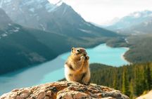 5-Day Rockies Adventure & Scenic Stay at Crossing (English Guide)
