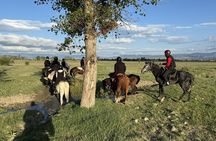2 Hour Horse Riding Tour at Palomino Ranch near Tbilisi
