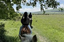 2 Hour Horse Riding Tour at Palomino Ranch near Tbilisi