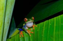 Tapir Valley Nature Reserve Experience Bijagua