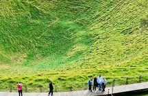 Auckland Half Day City Tour - Heart of Auckland