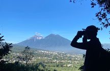 Nighthawk Birding Guided Tours in Antigua Guatemala