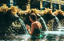 Coffee Nature and Culture Day Tour with Transfer in Bali
