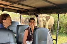 Special Leopard Safari Tour Yala National Park
