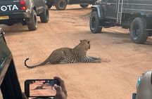 Special Leopard Safari Tour Yala National Park