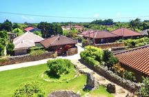Ishigaki Mangrove Canoe or SUP & Taketomi Island Exploration
