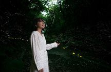 Ishigaki Sunset Limited Time Yaeyama Firefly Viewing Tour