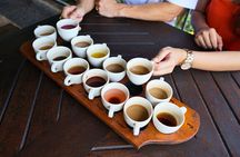 Coffee Nature and Culture Day Tour with Transfer in Bali