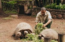 Chamarel 7 Colored Earth Geopark and Coffee Tour Experience