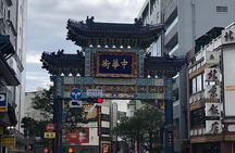 Yokohama Private Tour: Chinatown Food & Seaside Walks