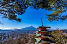 Mount Fuji Highlights Minibus（small group） Tour from Tokyo