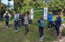 3 days Gorilla Trekking Safari tour in Uganda 