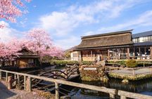 Mount Fuji Highlights Minibus（small group） Tour from Tokyo