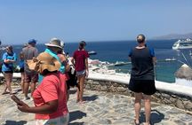 Private Mykonos Island Tour & Local Experience