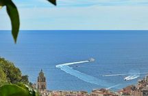 Amalfi Limoncello and Wine Tasting with Sea and Hill Views