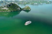 Bhaya Soul Cruise: 2 Day 1 Night Journey in Ha Long Bay