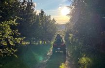 Dynjandi Waterfall and ATV Riding Private Tour