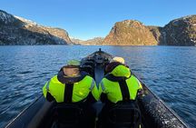 Bergen: Mostraumen Fjord Safari - by Premium RIB Boat