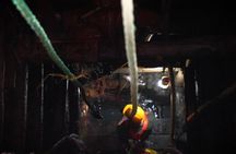 Professional Gem Mining Tours