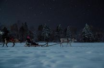 Reindeer Sleigh Ride Across the Night in Apukka Resort Rovaniemi