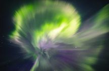 Reindeer Sleigh Ride Across the Night in Apukka Resort Rovaniemi