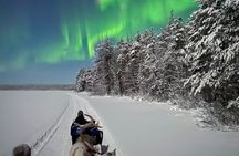 Reindeer Sleigh Ride Across the Night in Apukka Resort Rovaniemi