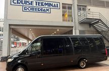 Delft and Windmills Small Group Tour from Rotterdam Cruise Port