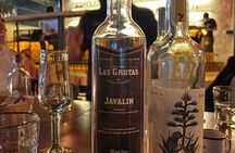 All incluided Foodie Tour Zapopan Beer, Tacos and Agave Spirits.