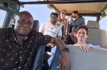 Nairobi National Park Open Game Viewer Landcruiser Safari