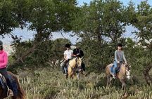 Horse Ride Taghazout Morocco