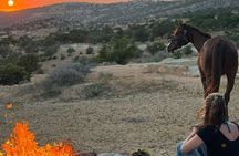 Horse Ride Taghazout Morocco