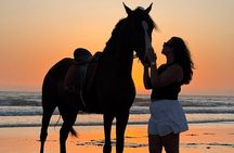Horse Ride Taghazout Morocco
