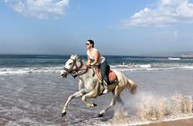 Horse Ride Taghazout Morocco