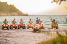ATV or Buggy Guided Tour from Waldorf, Planet Hollywood or Riu