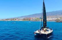 Tenerife Whale Watching in Exclusive 12 seats Chillout Catamaran