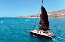 Tenerife Whale Watching in Exclusive 12 seats Chillout Catamaran