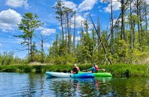 Alligator River Refuge at Buffalo City